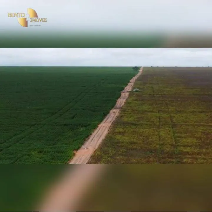 Fazenda à venda de 4.525 ha em Diamantino, MT, Brasil