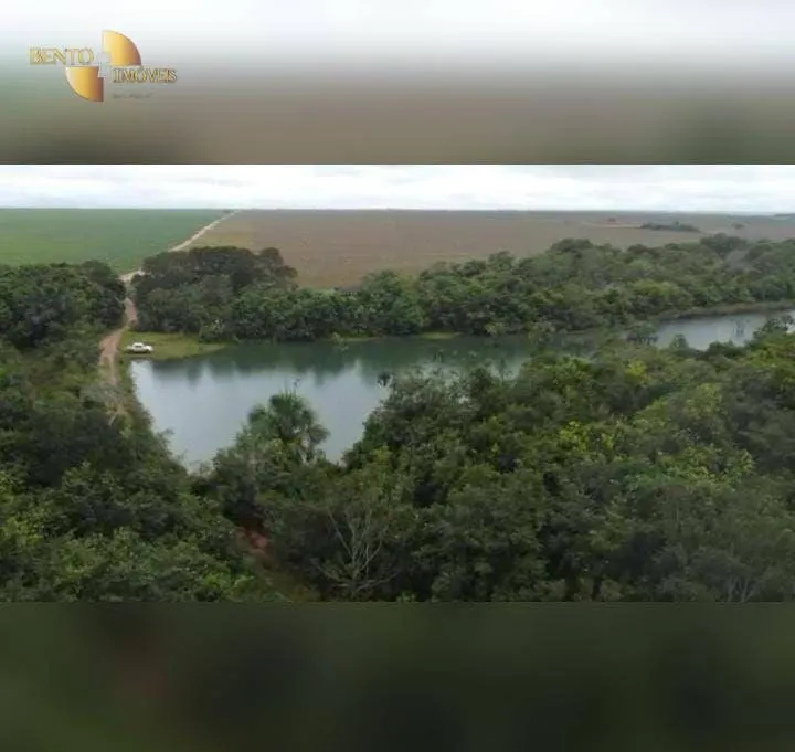 Fazenda à venda de 4.525 ha em Diamantino, MT, Brasil