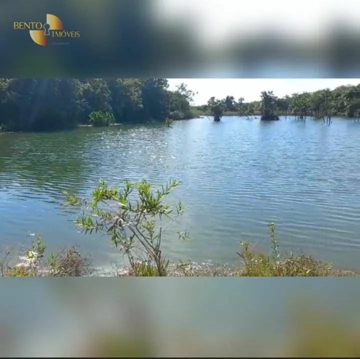 Fazenda à venda de 4.525 ha em Diamantino, MT, Brasil