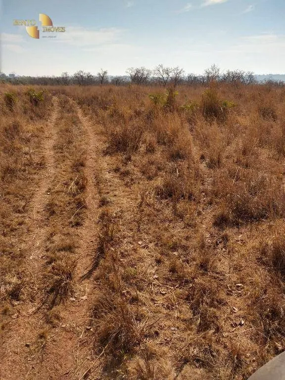 Farm for sale of 5,543 acres in Tesouro, MT, Brazil