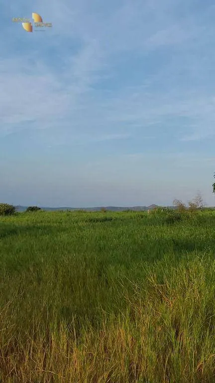 Farm for sale of 5,543 acres in Tesouro, MT, Brazil