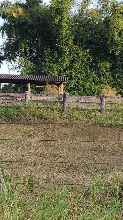 Farm for sale of 5,543 acres in Tesouro, MT, Brazil
