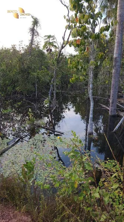 Farm for sale of 5,543 acres in Tesouro, MT, Brazil