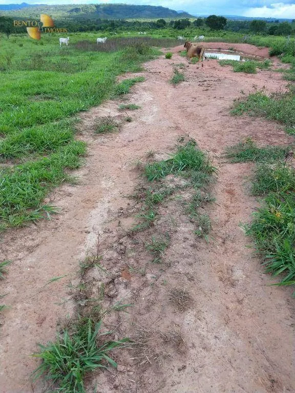Farm for sale of 5,543 acres in Tesouro, MT, Brazil