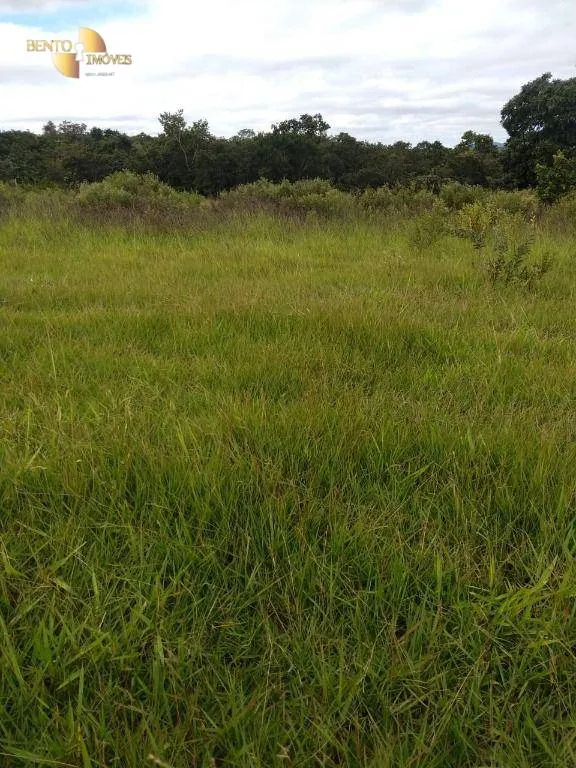 Farm for sale of 5,543 acres in Tesouro, MT, Brazil