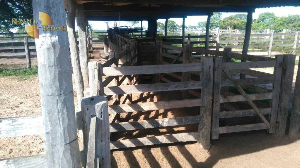 Farm for sale of 5,543 acres in Tesouro, MT, Brazil