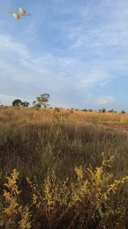 Farm for sale of 5,543 acres in Tesouro, MT, Brazil