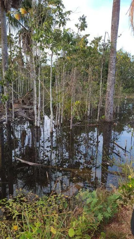 Farm for sale of 5,543 acres in Tesouro, MT, Brazil