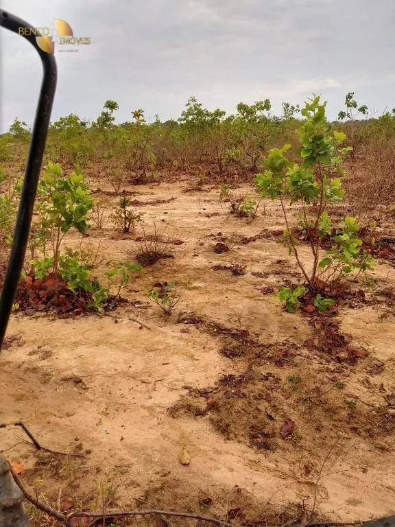 Farm for sale of 5,543 acres in Tesouro, MT, Brazil