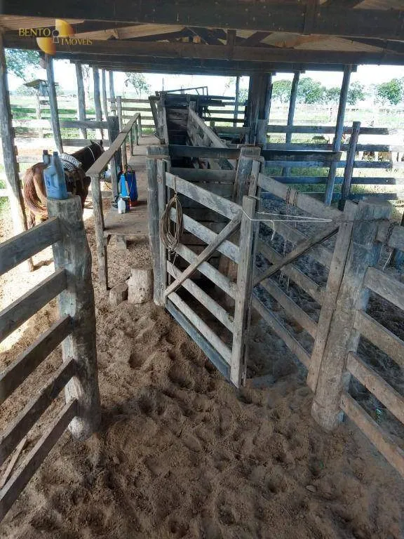 Farm for sale of 5,543 acres in Tesouro, MT, Brazil