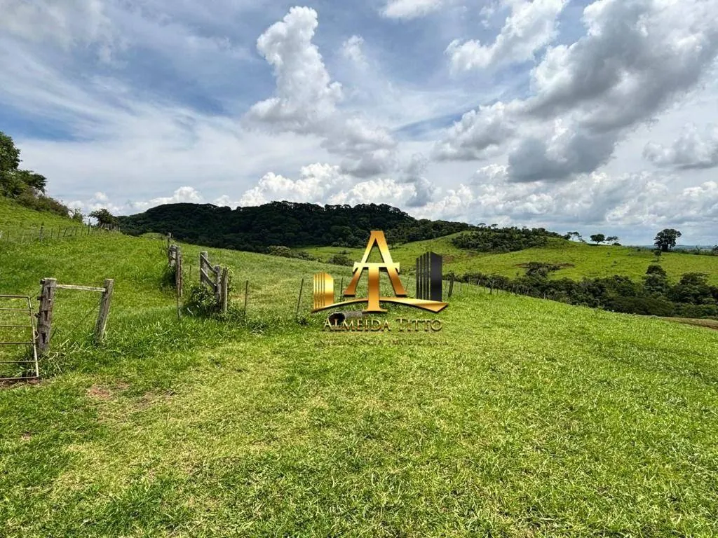 Fazenda à venda de 1.331 ha em Marília, SP, Brasil