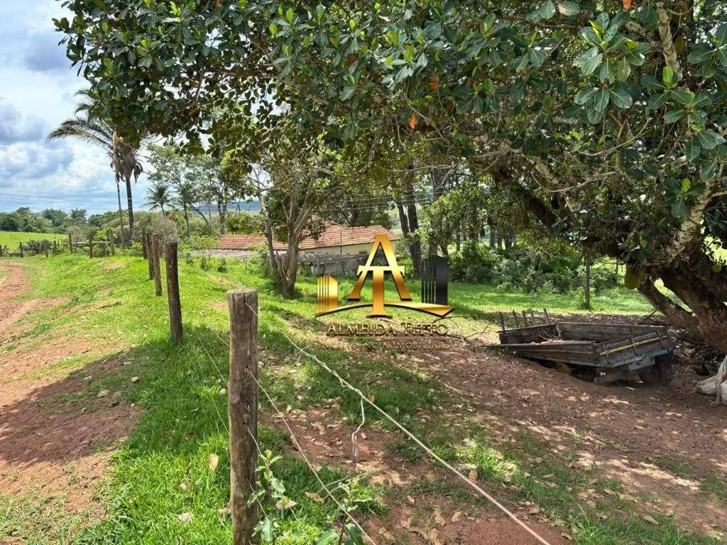 Fazenda à venda de 1.331 ha em Marília, SP, Brasil