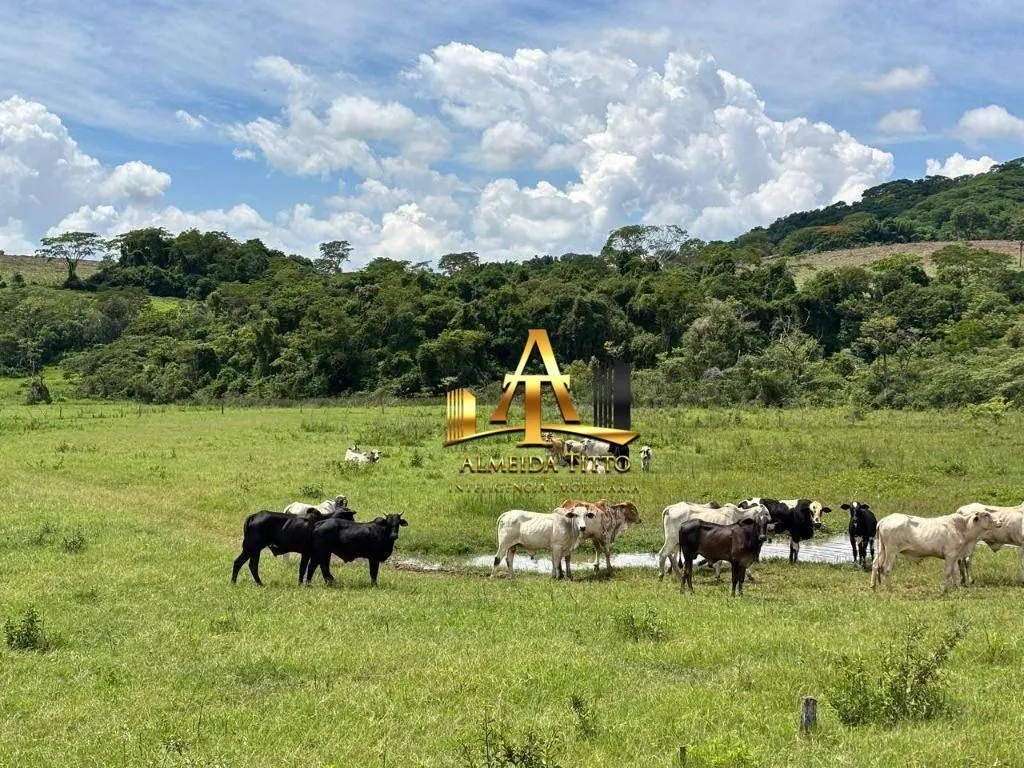 Fazenda à venda de 1.331 ha em Marília, SP, Brasil