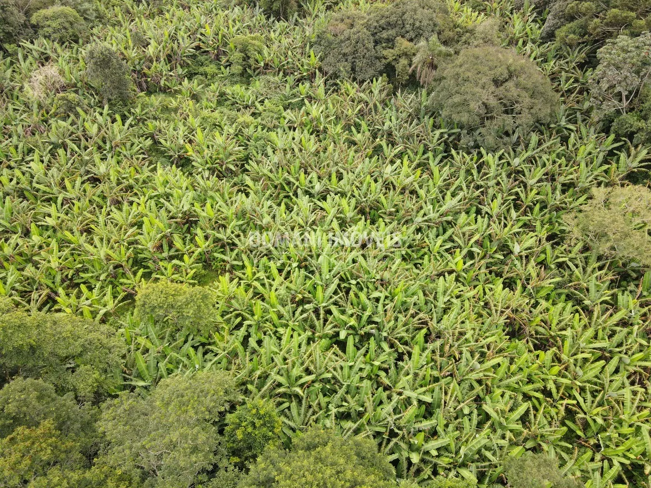 Terreno à venda de 2.600 m² em Campos do Jordão, SP, Brasil