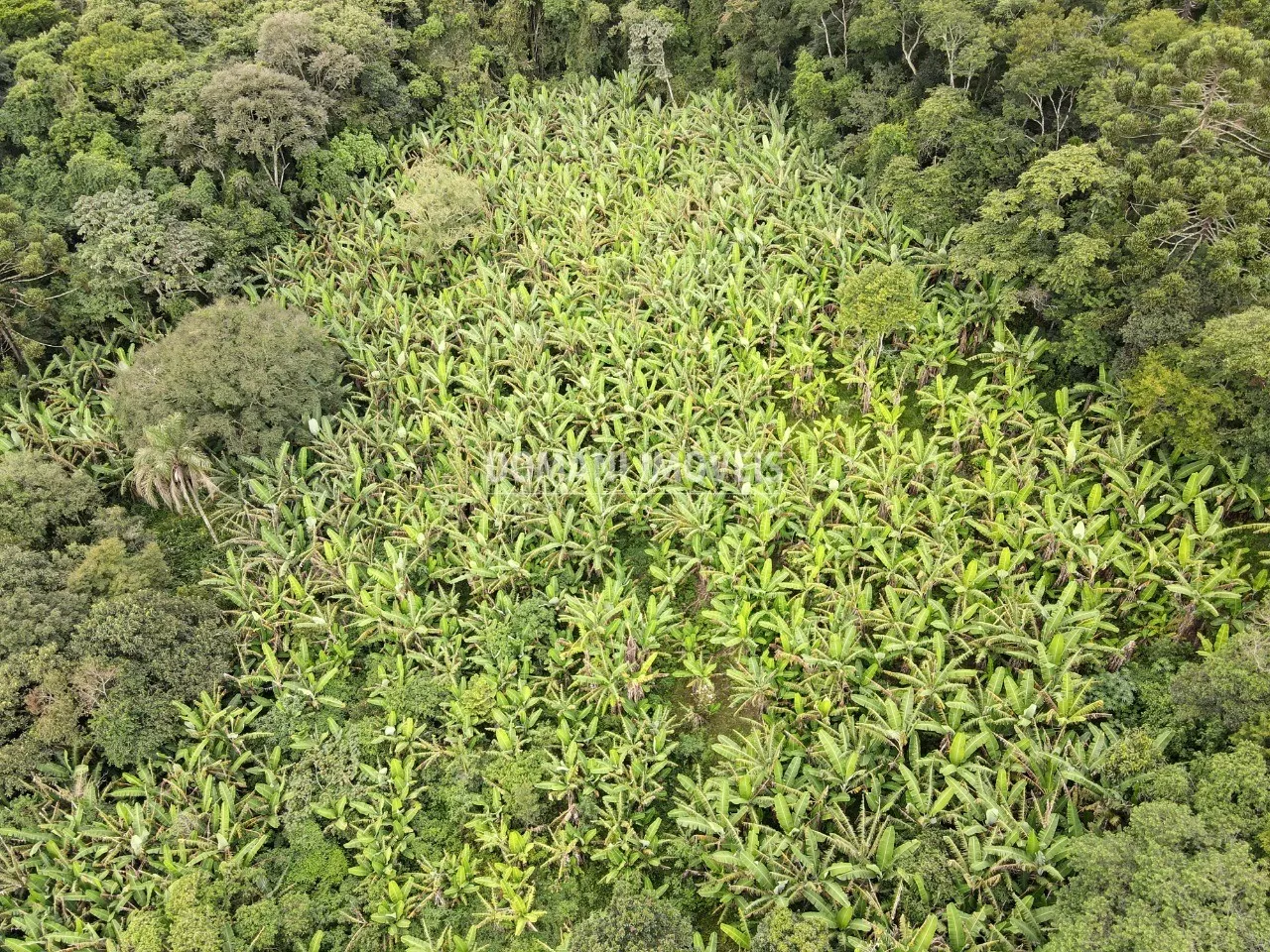Terreno à venda de 2.600 m² em Campos do Jordão, SP, Brasil