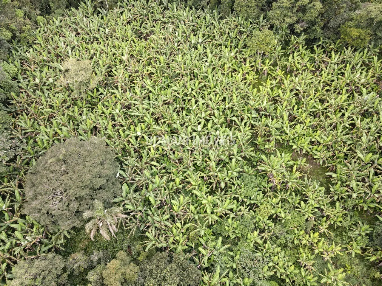 Terreno à venda de 2.600 m² em Campos do Jordão, SP, Brasil