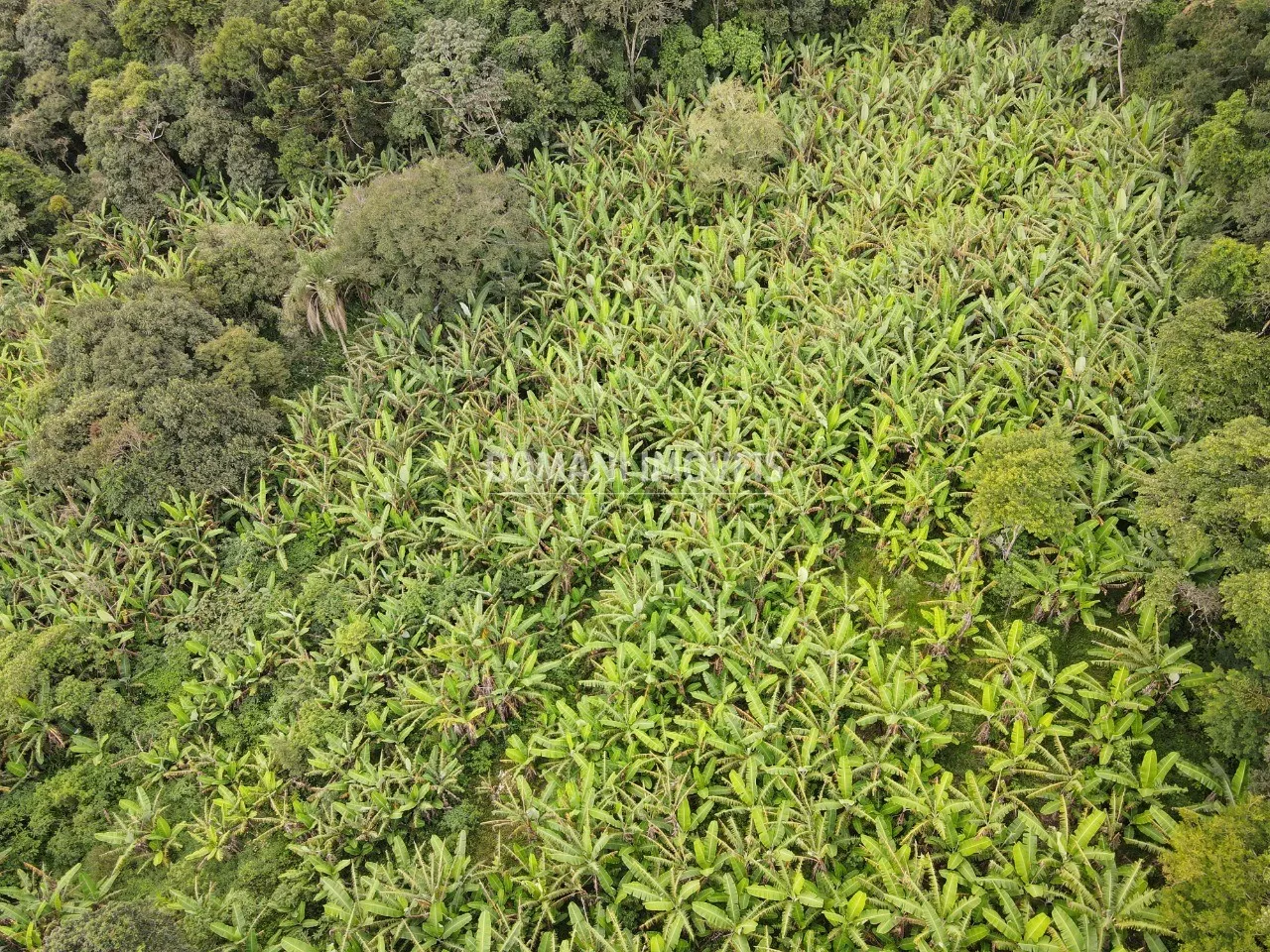 Terreno à venda de 2.600 m² em Campos do Jordão, SP, Brasil