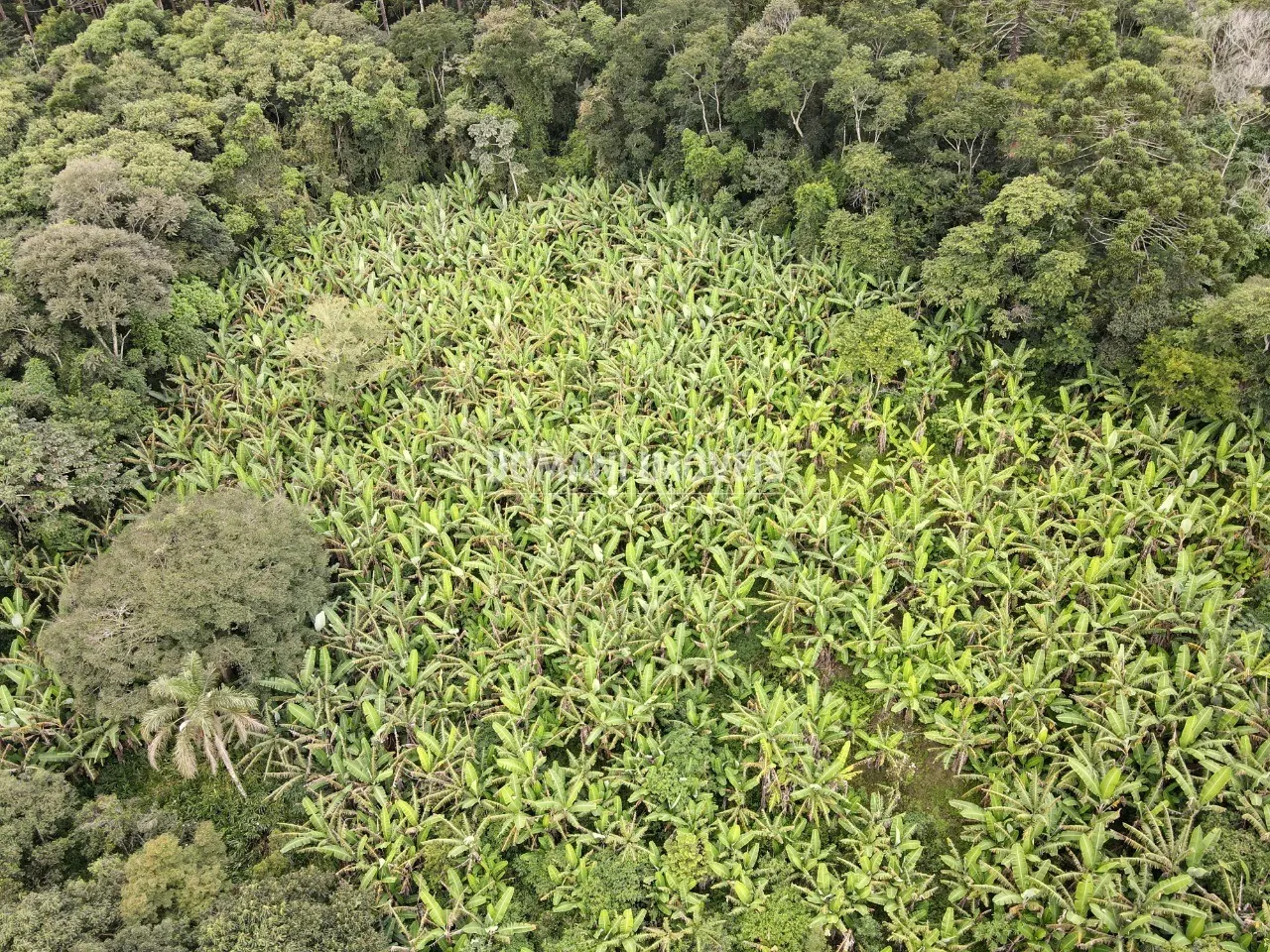 Terreno à venda de 2.600 m² em Campos do Jordão, SP, Brasil
