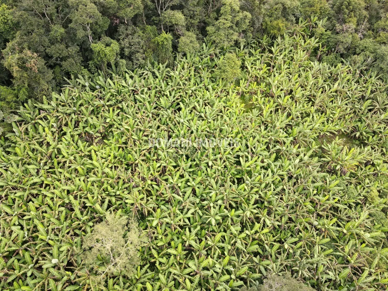 Terreno à venda de 2.600 m² em Campos do Jordão, SP, Brasil