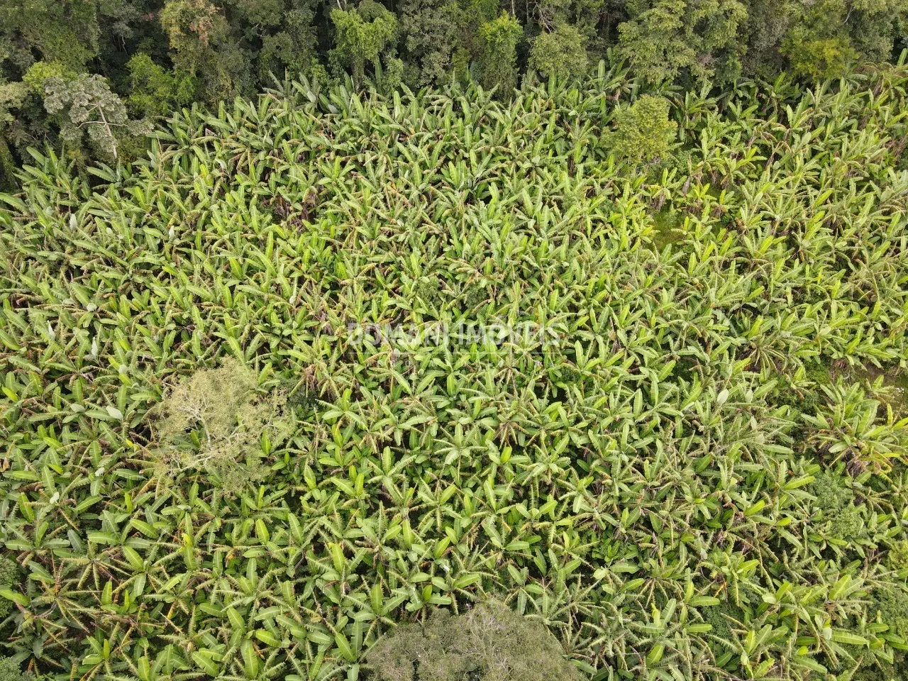 Terreno à venda de 2.600 m² em Campos do Jordão, SP, Brasil