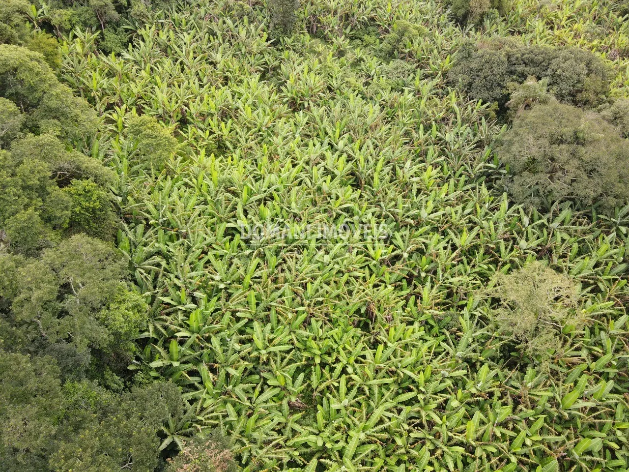 Terreno à venda de 2.600 m² em Campos do Jordão, SP, Brasil