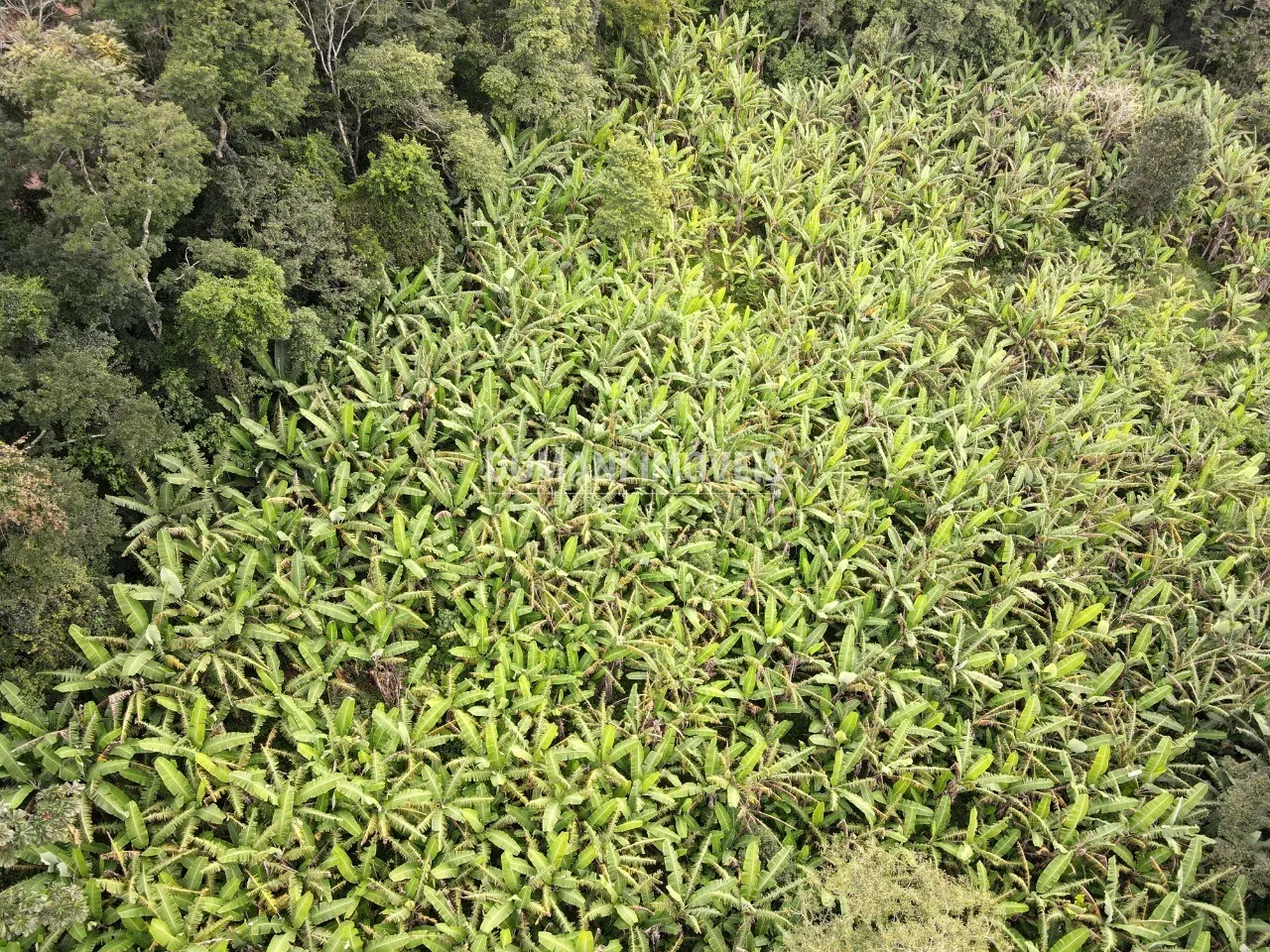 Terreno à venda de 2.600 m² em Campos do Jordão, SP, Brasil