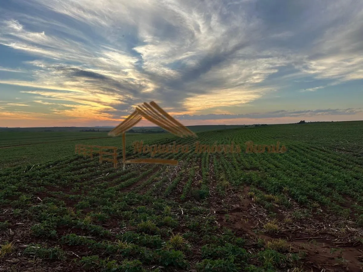 Fazenda à venda de 208 ha em Ourinhos, SP, Brasil