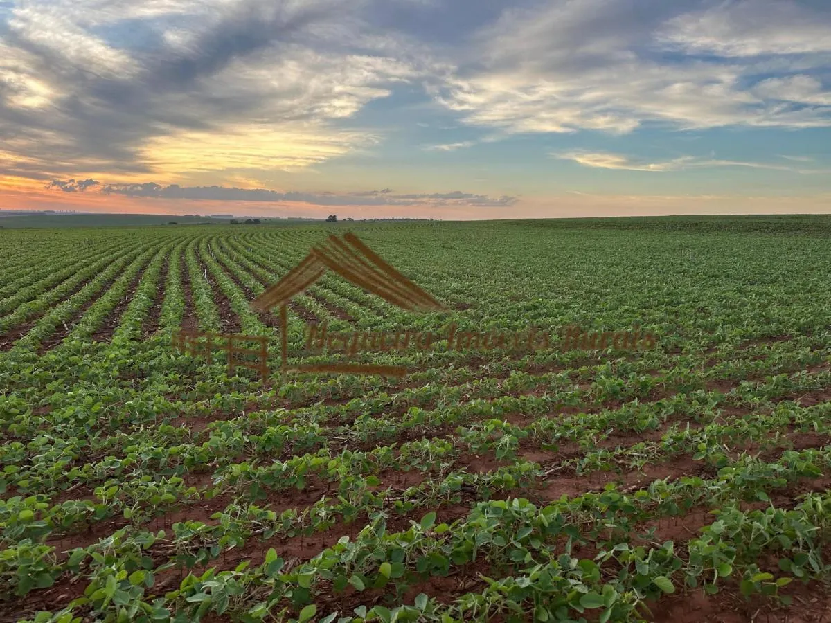 Fazenda à venda de 208 ha em Ourinhos, SP, Brasil