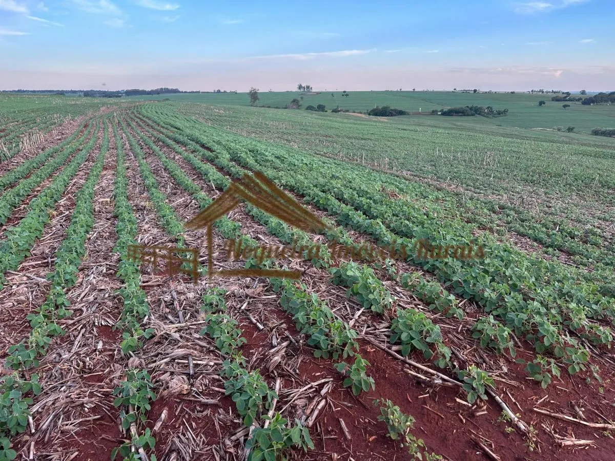 Fazenda à venda de 208 ha em Ourinhos, SP, Brasil