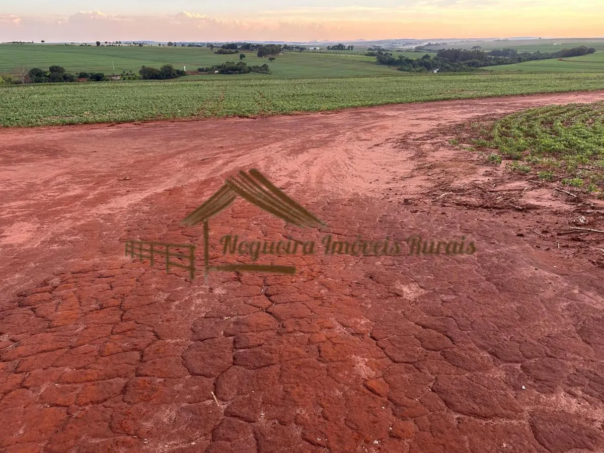 Fazenda à venda de 208 ha em Ourinhos, SP, Brasil