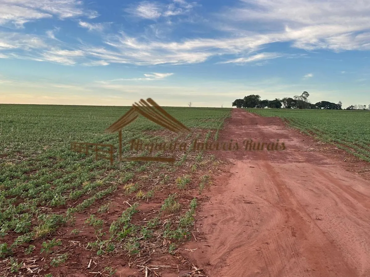 Fazenda à venda de 208 ha em Ourinhos, SP, Brasil