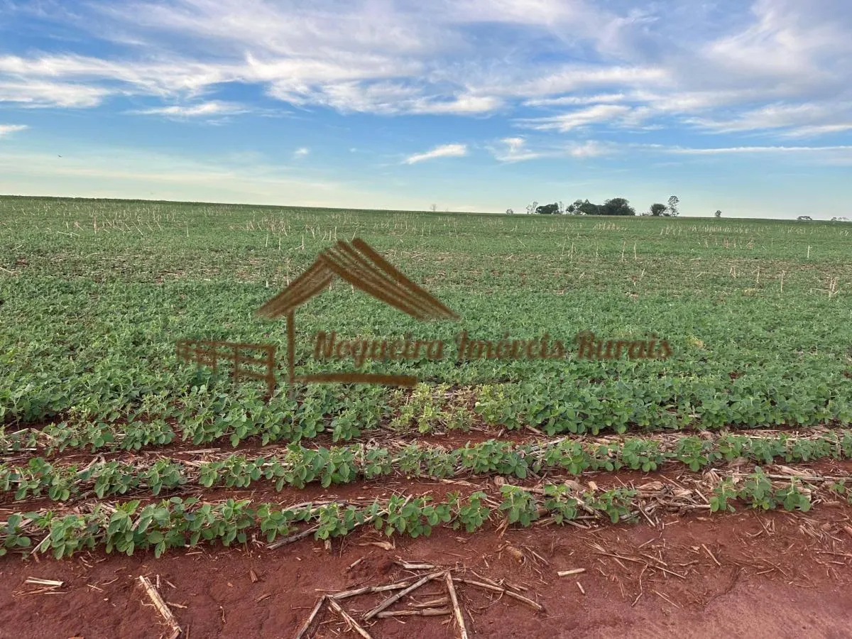 Fazenda à venda de 208 ha em Ourinhos, SP, Brasil