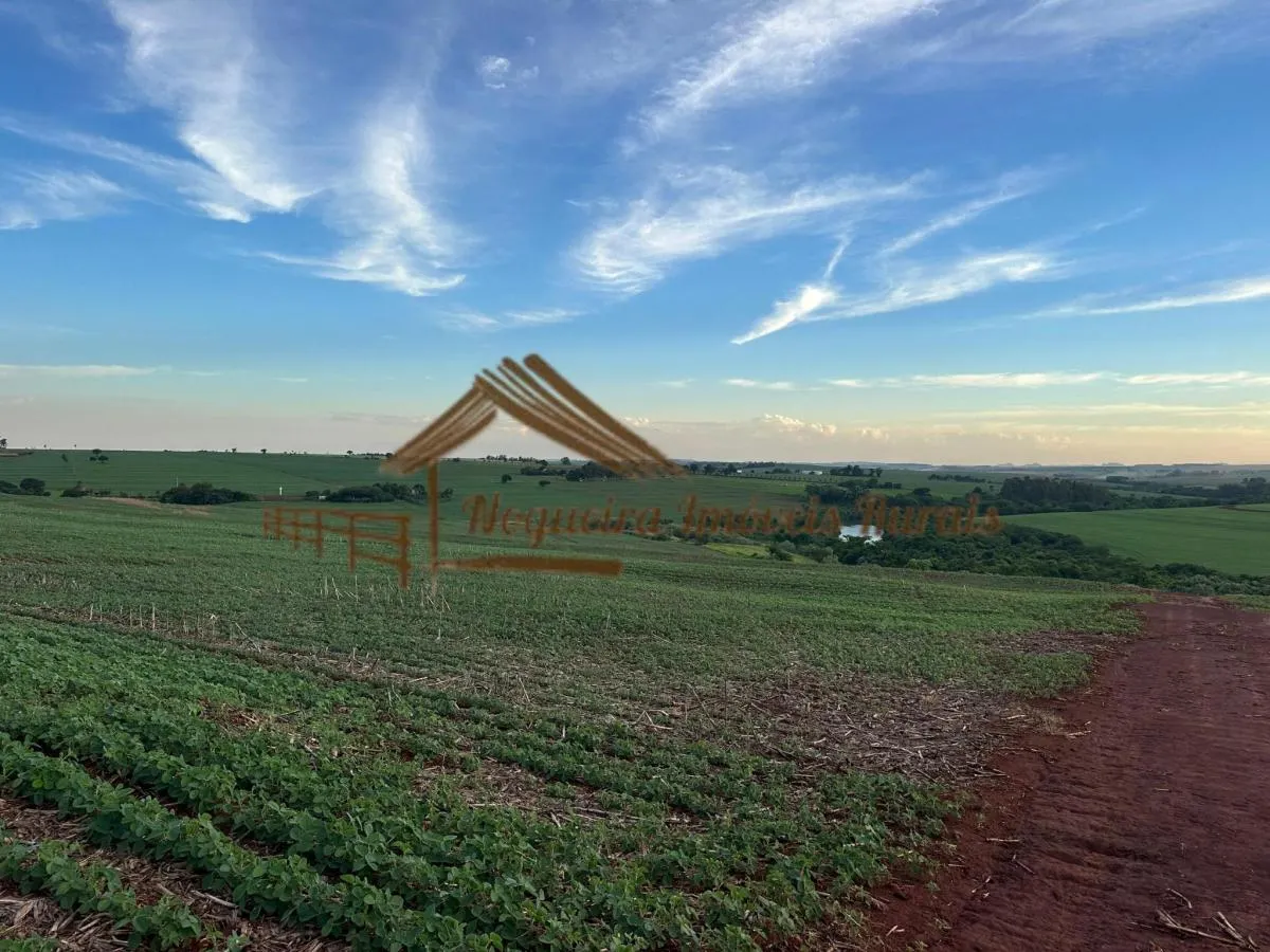 Fazenda à venda de 208 ha em Ourinhos, SP, Brasil