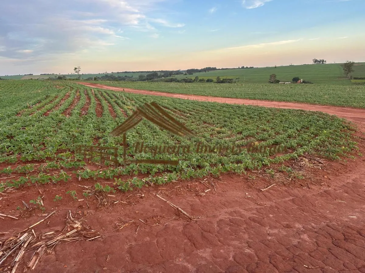 Fazenda à venda de 208 ha em Ourinhos, SP, Brasil