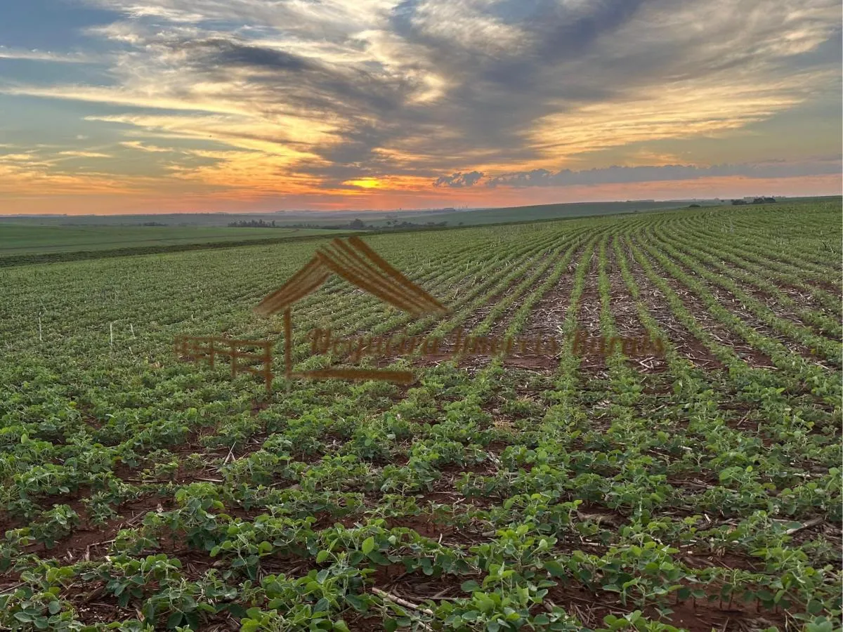 Fazenda à venda de 208 ha em Ourinhos, SP, Brasil