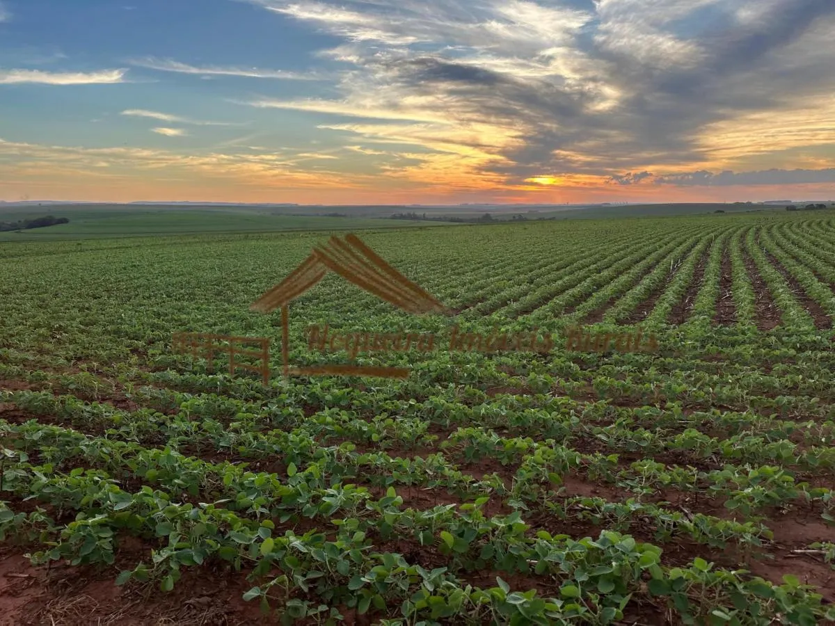 Fazenda à venda de 208 ha em Ourinhos, SP, Brasil