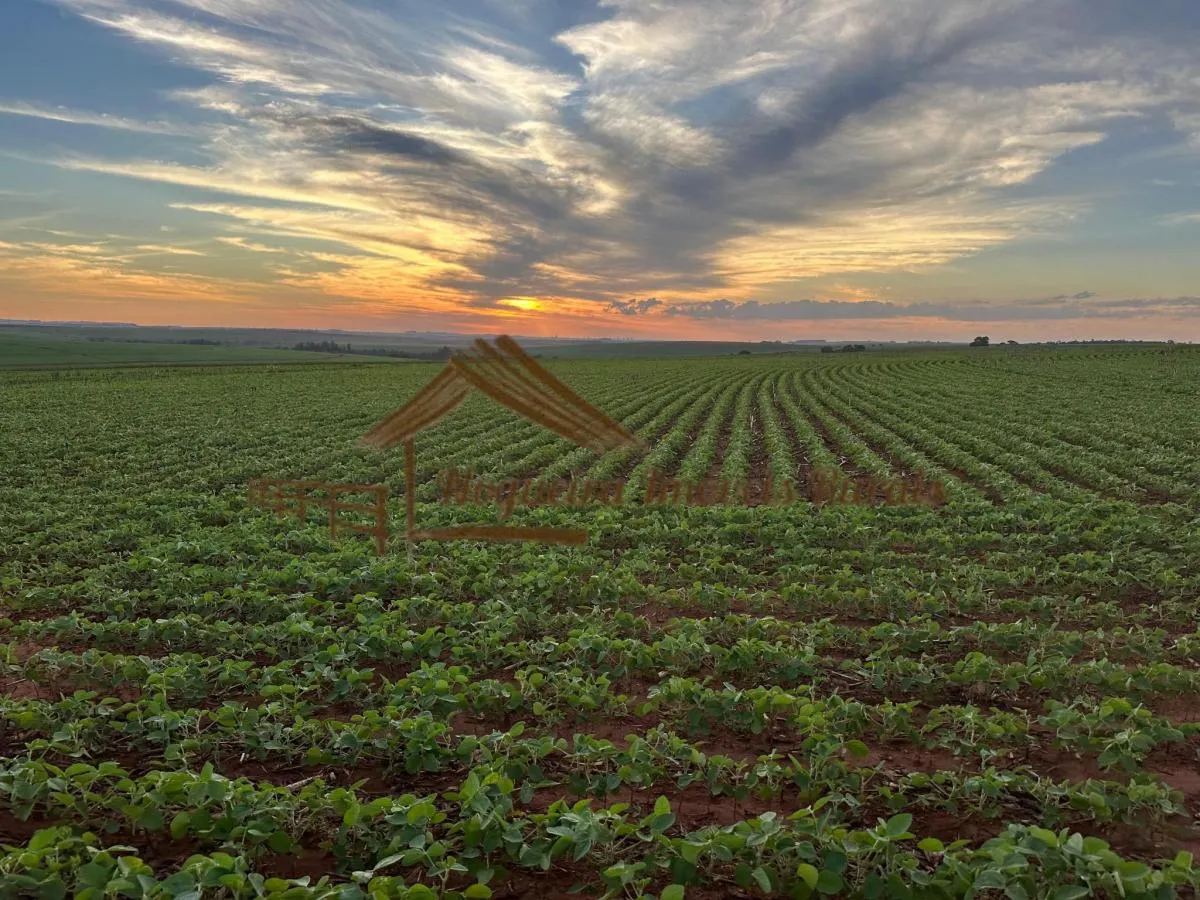 Fazenda à venda de 208 ha em Ourinhos, SP, Brasil