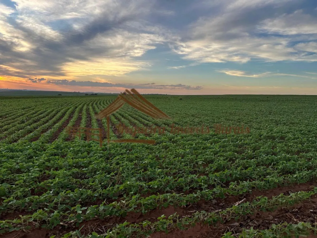 Fazenda à venda de 208 ha em Ourinhos, SP, Brasil