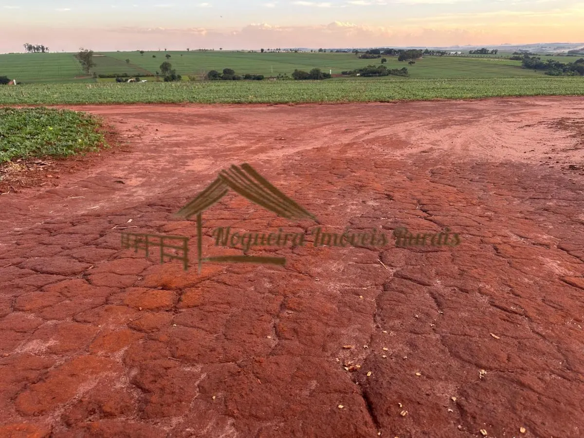 Fazenda à venda de 208 ha em Ourinhos, SP, Brasil