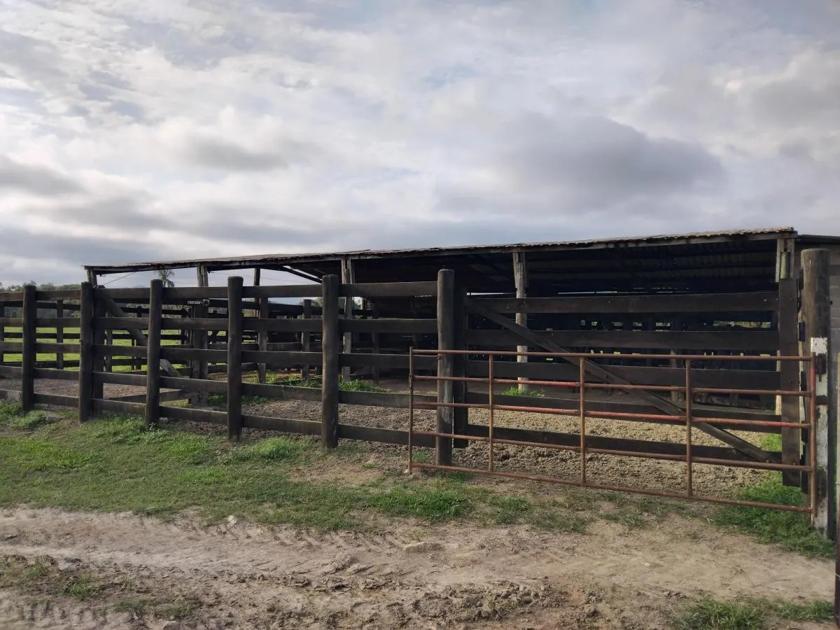 Fazenda à venda de 61 ha em Juquiá, SP, Brasil