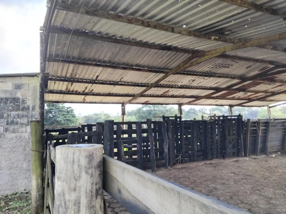 Fazenda à venda de 61 ha em Juquiá, SP, Brasil