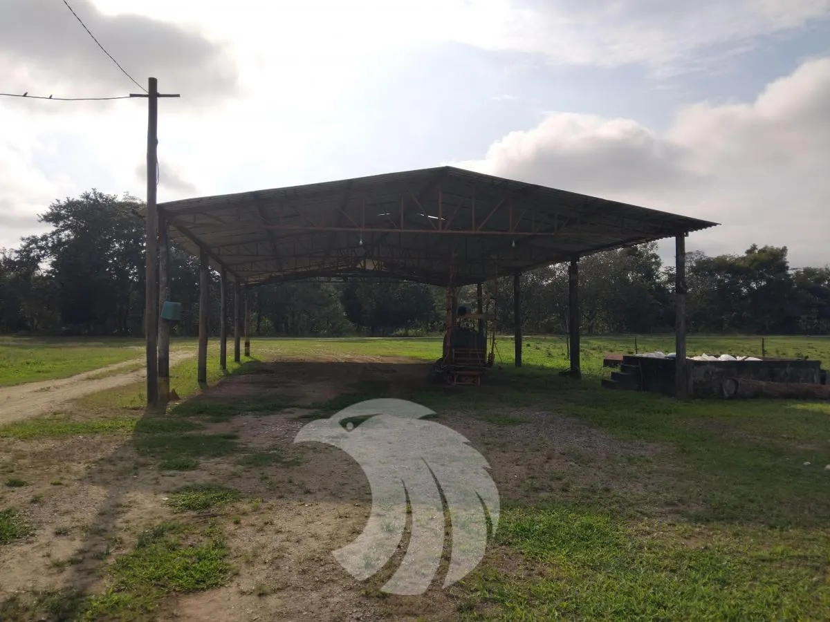 Fazenda à venda de 61 ha em Juquiá, SP, Brasil