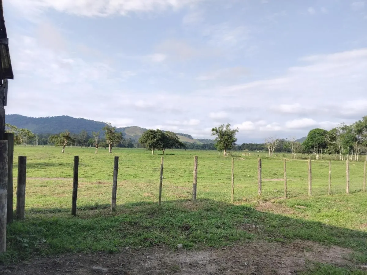 Fazenda à venda de 61 ha em Juquiá, SP, Brasil