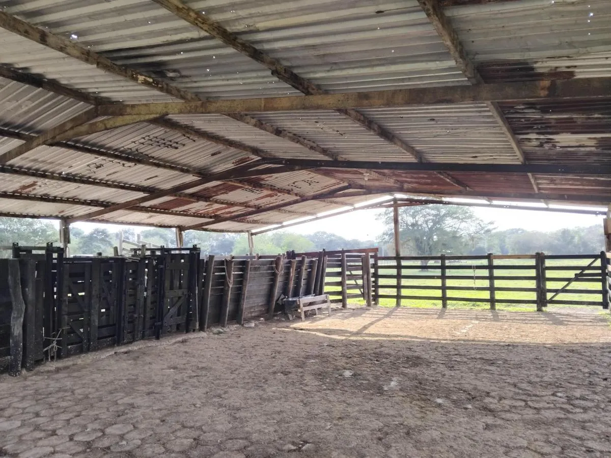 Fazenda à venda de 61 ha em Juquiá, SP, Brasil