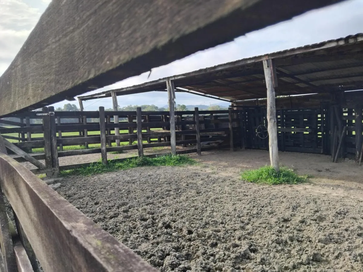 Fazenda à venda de 61 ha em Juquiá, SP, Brasil