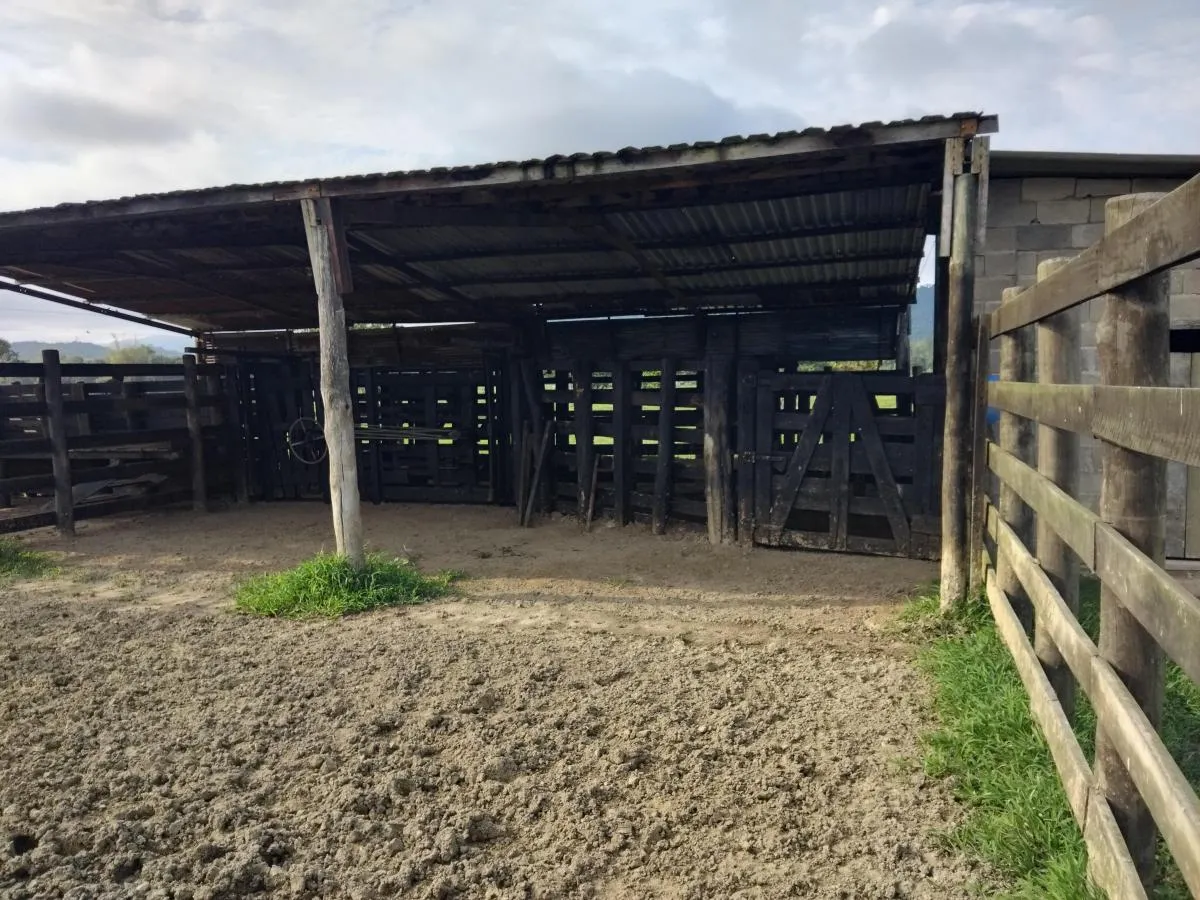 Fazenda à venda de 61 ha em Juquiá, SP, Brasil
