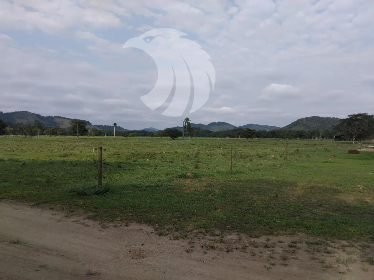 Fazenda à venda de 61 ha em Juquiá, SP, Brasil