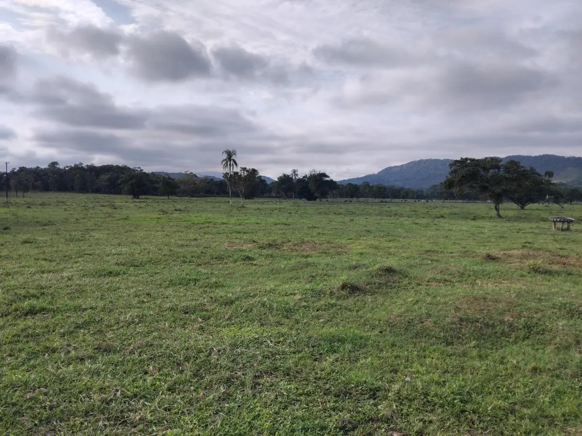 Fazenda à venda de 61 ha em Juquiá, SP, Brasil