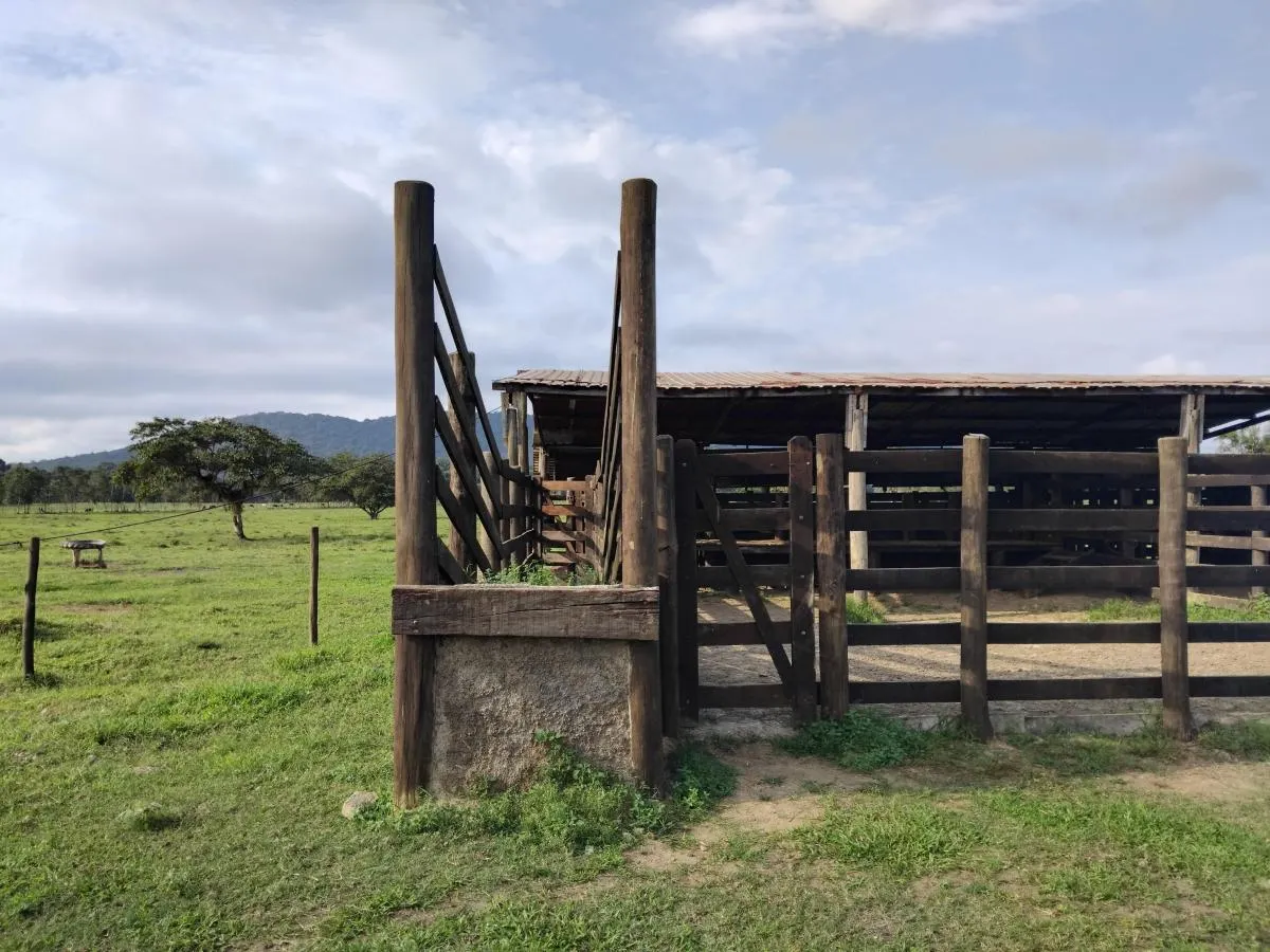 Fazenda à venda de 61 ha em Juquiá, SP, Brasil