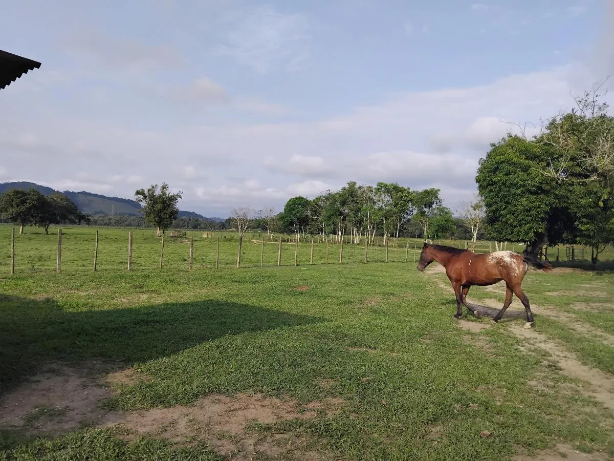 Fazenda à venda de 61 ha em Juquiá, SP, Brasil